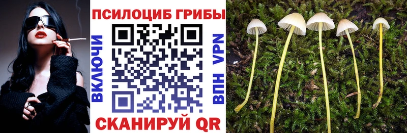 Псилоцибиновые грибы GOLDEN TEACHER  Каменка 