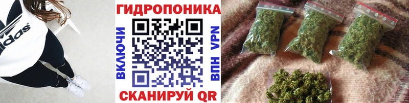 Канабис MAZAR Каменка